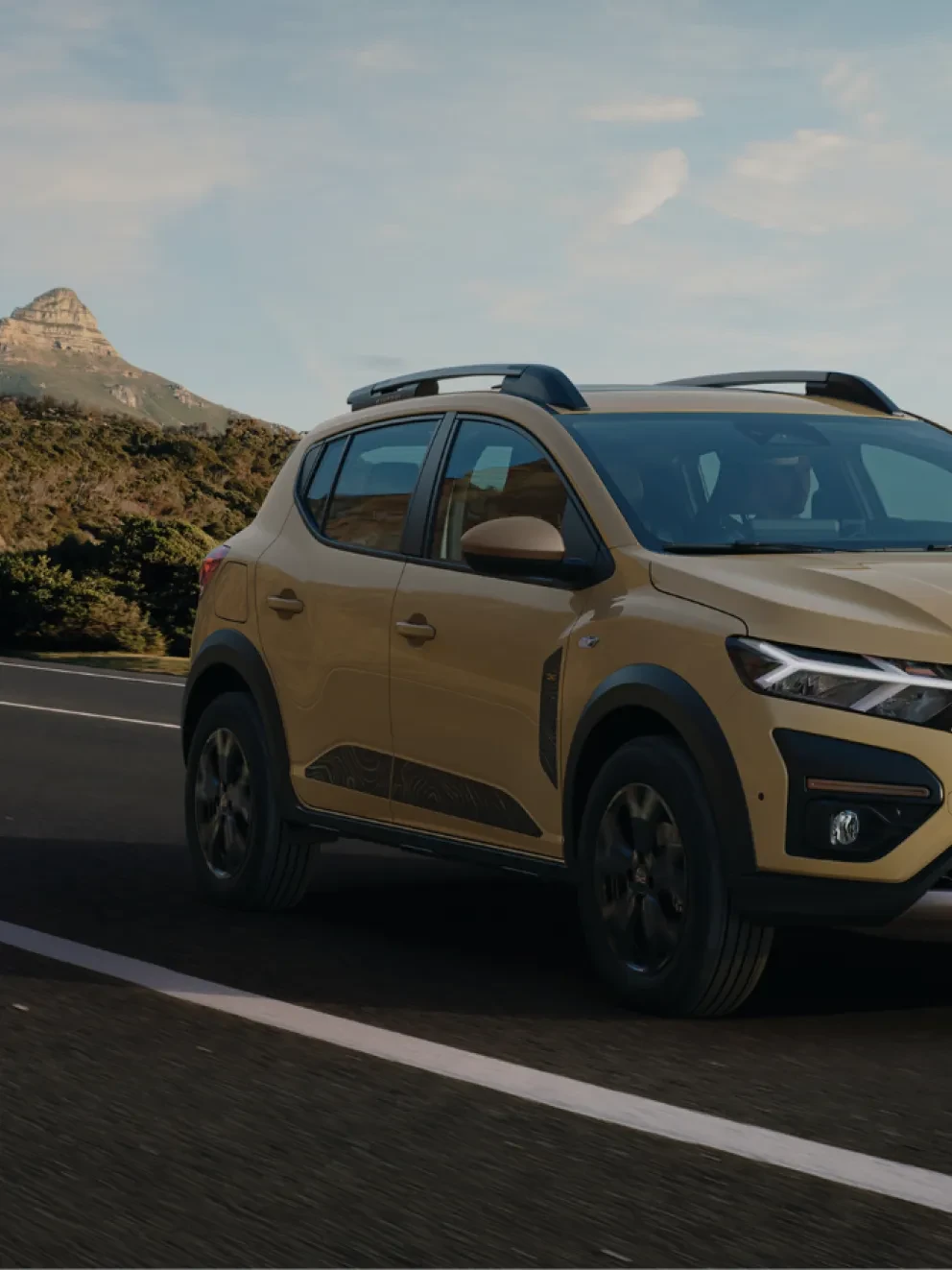 Garage Leijenaar header Dacia Sandero Stepway